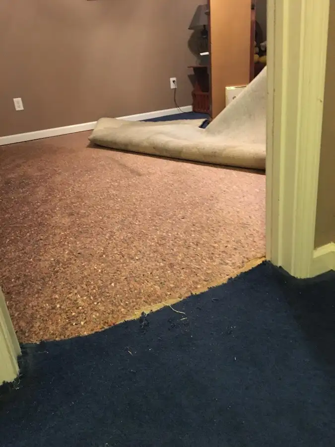 Carpet pad removal revealing water damage during Drying & Dehumidification in Addison