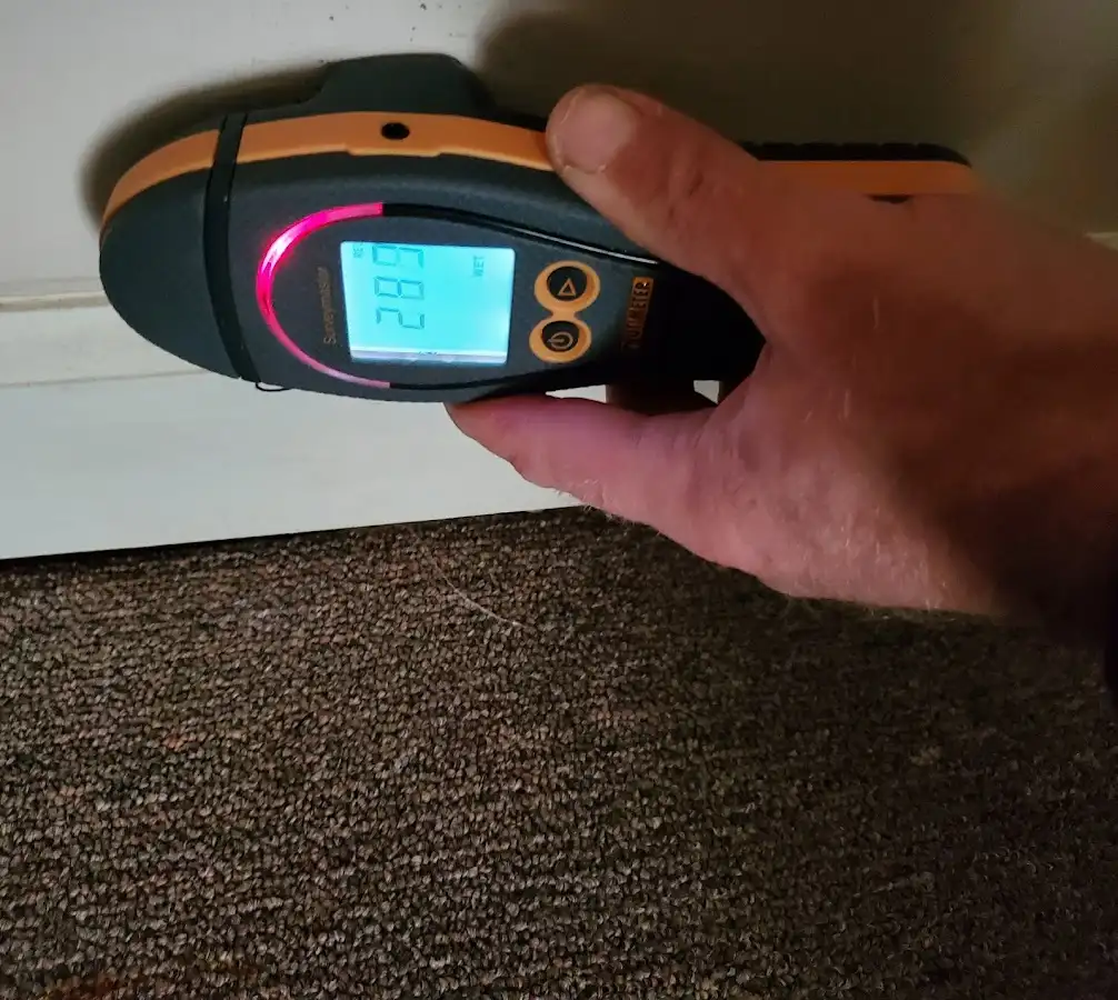 Moisture detection at baseboard during Sewage Cleanup & Sanitation in Addison